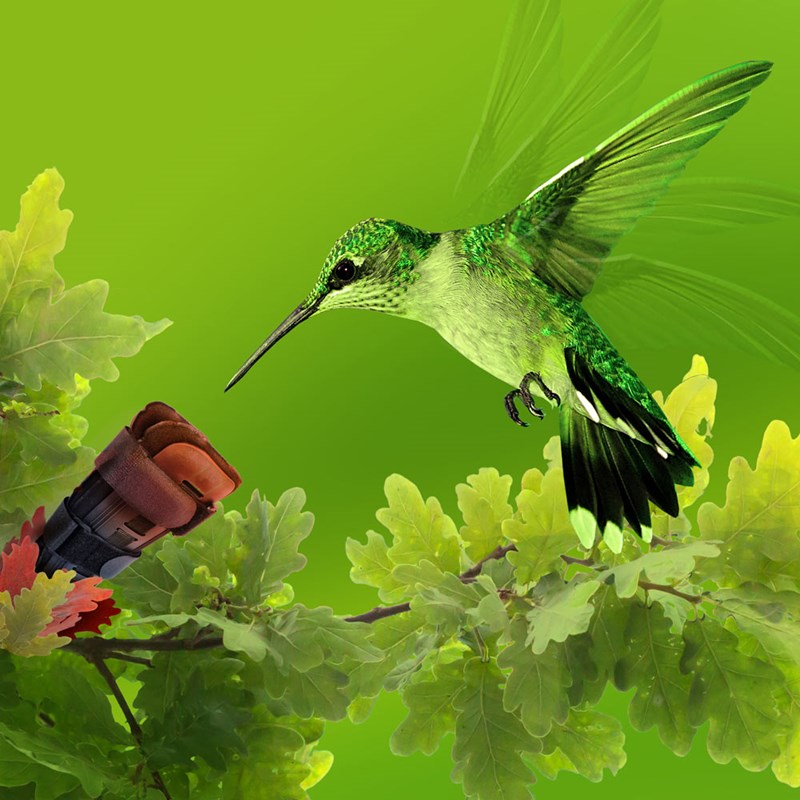 AVA - Zentrum für Brustversorgung